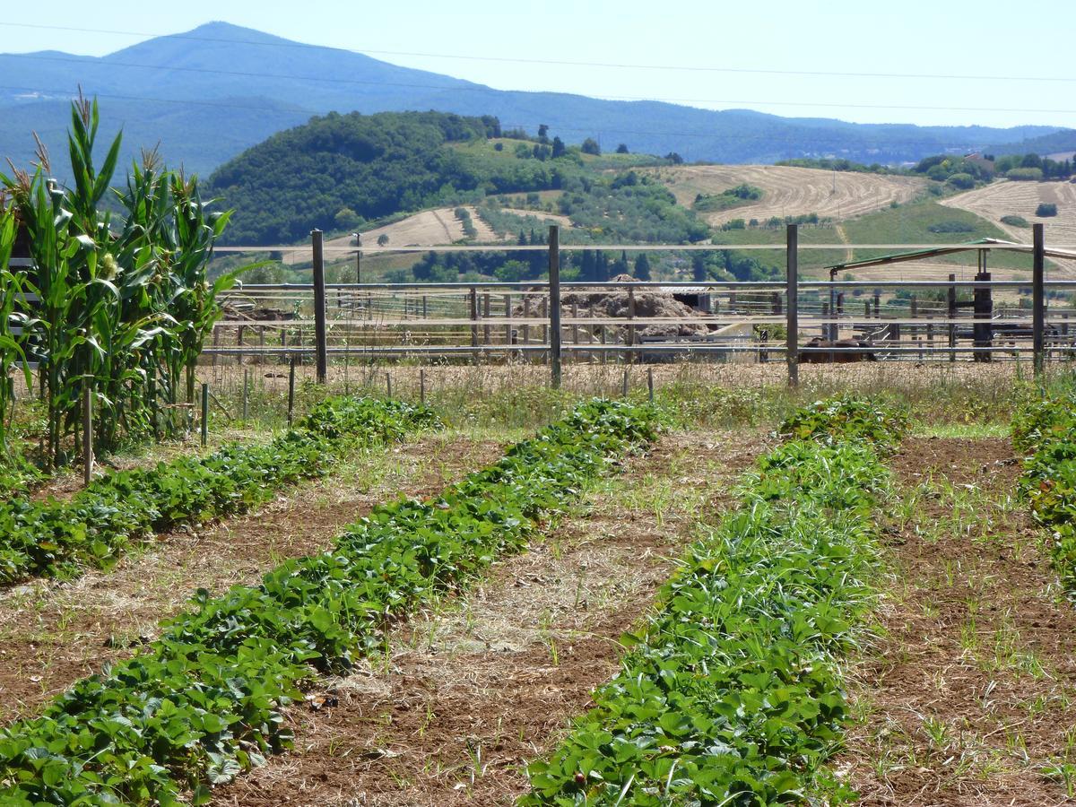 מלון רוזיניאנו מריטימו Agriturismo San Marco מראה חיצוני תמונה